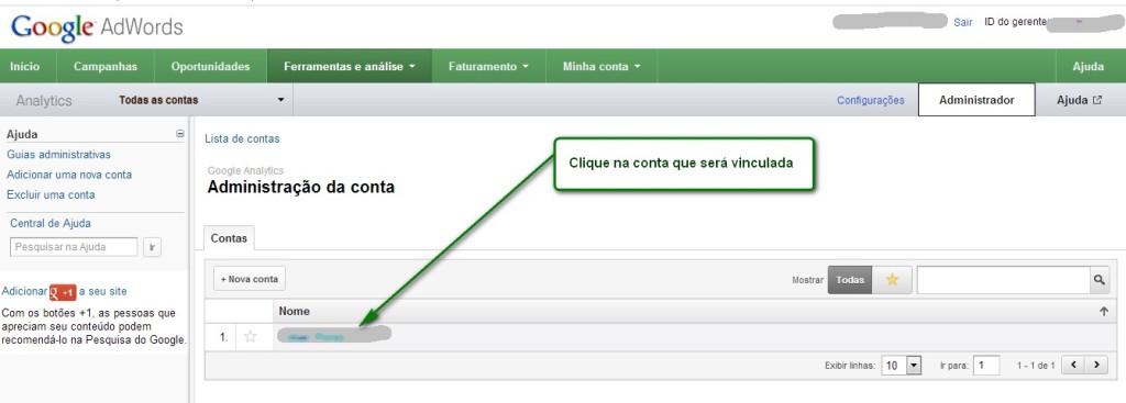 Adwords e Google Analytics PAP 3