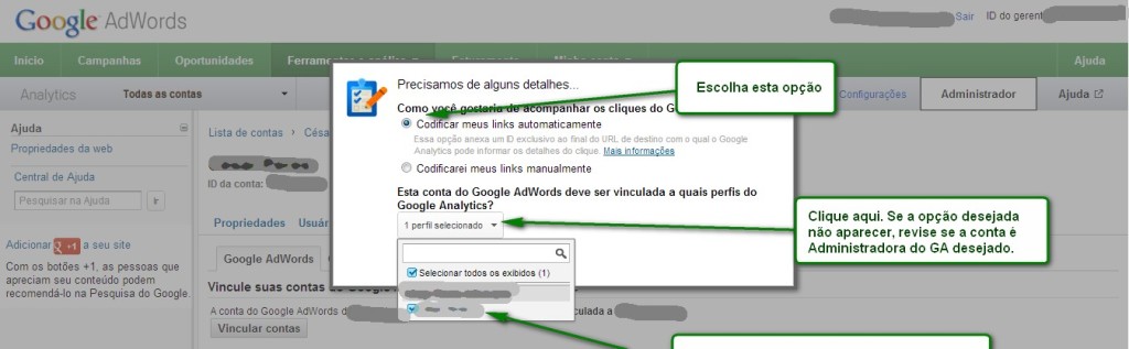 Vincular Adwords e Google Analytics PAP 6