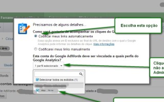Vincular Adwords e Google Analytics PAP 6
